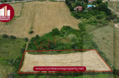 The Importance of Buying Land in Türkiye