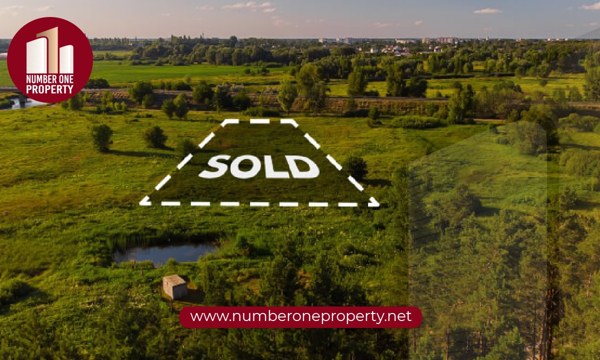 Step by Step Process of Buying Land in Turkey: Complete Guide for Foreign Buyers
