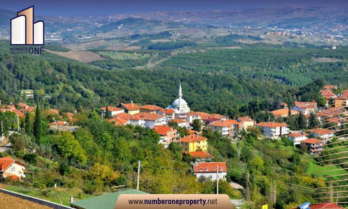 A Report on Real Estate Ownership in Yalova Türkiye