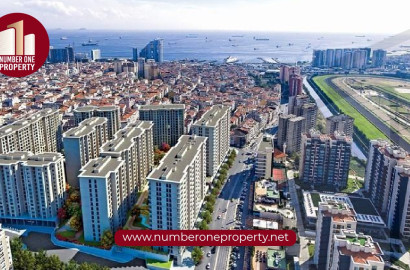 أهم الأماكن السياحية والأنشطة في زيتون بورنو، إسطنبول