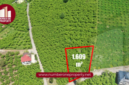 Buying Land in Istanbul: Complete Guide for Foreign Investors