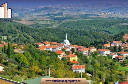 A Report on Real Estate Ownership in Yalova Türkiye