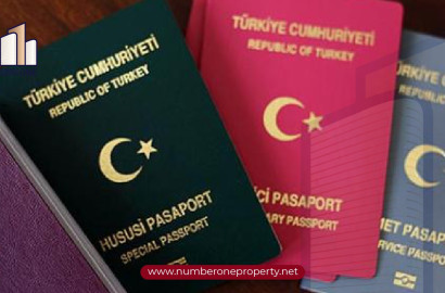 Типы турецких паспортов