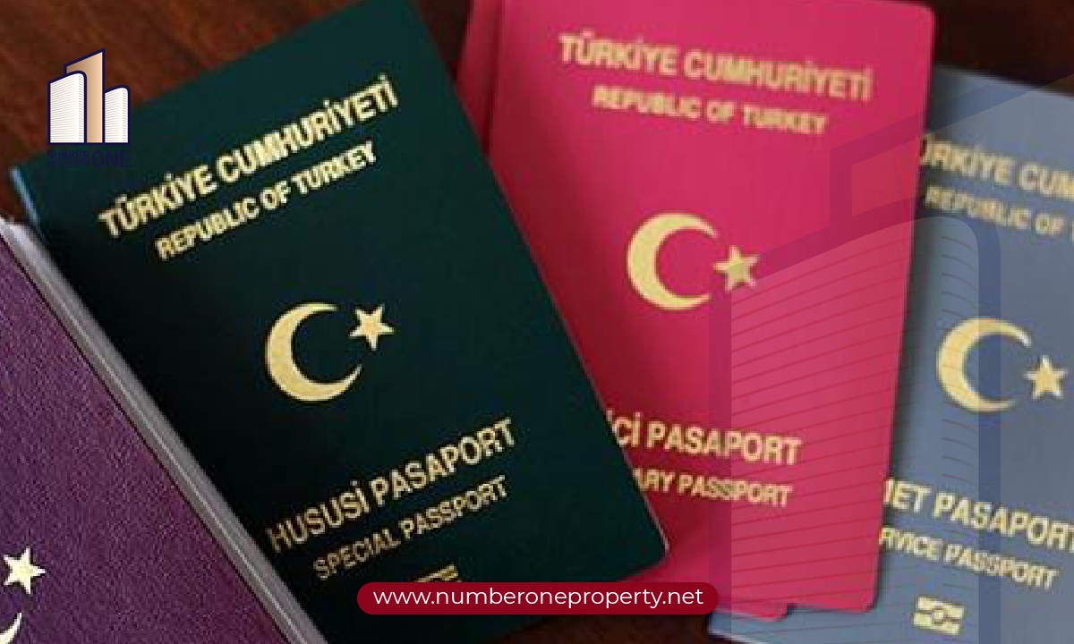 أنواع الجواز التركي