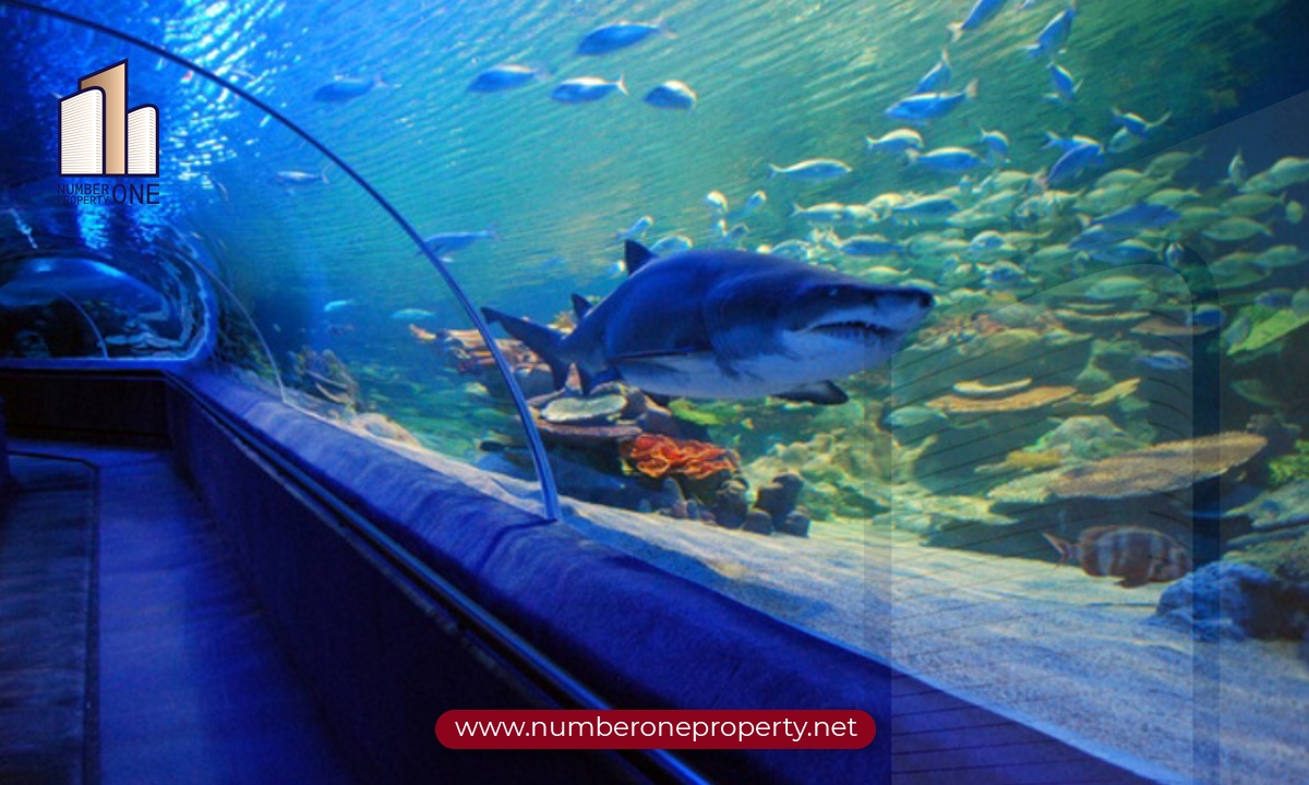 Istanbul Aquarium